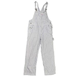 BDG Men's 34 Hickory Stripe Denim Bib Overalls Blue White Skate Fit Straight Leg